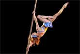 The Best Of Cirque du Soleil - Corteo - 'El Cielo Sabra'