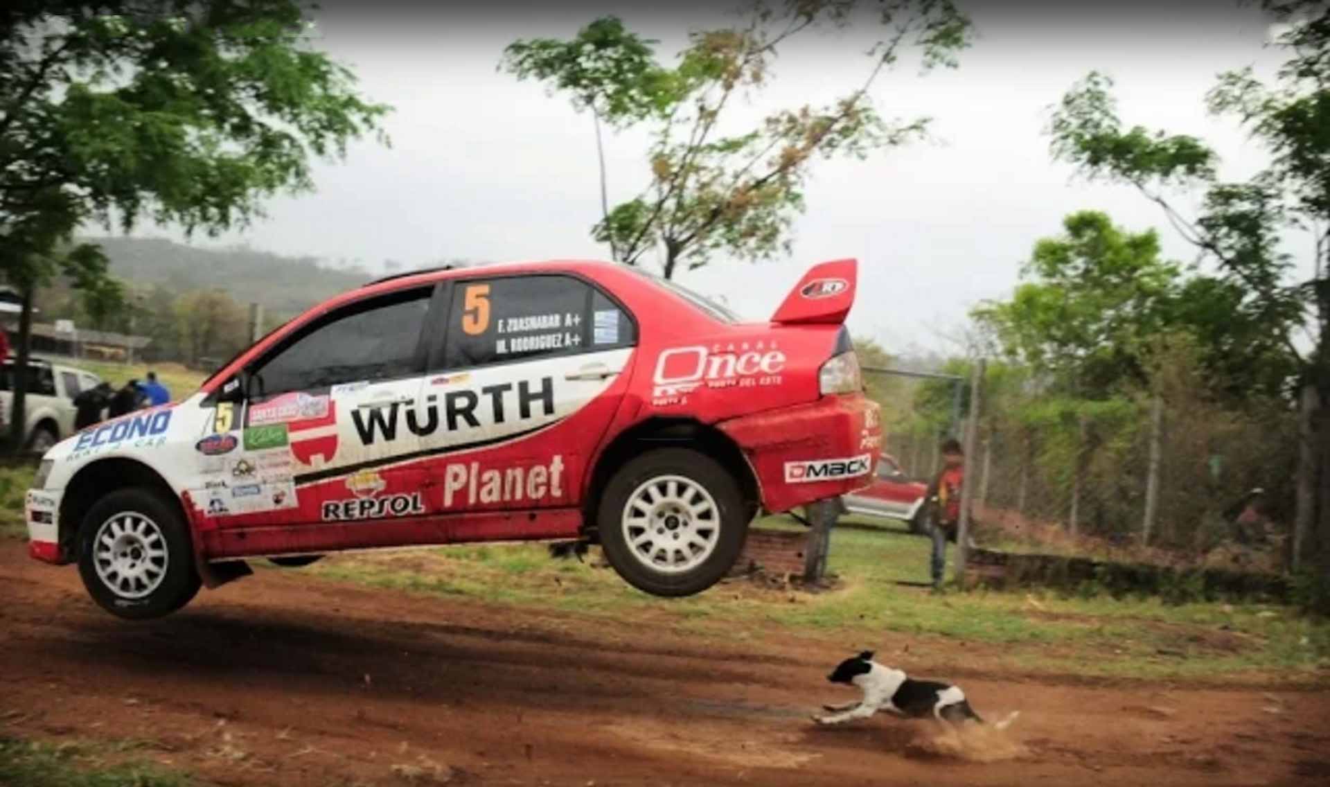 The Luckiest Dog In The World