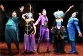 The Opera Locos - Musical Comedy