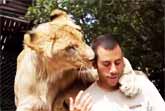There's Nothing Like A Lion Love