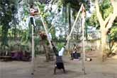 Three Guys On Stilts Got Talent