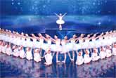 Tiny Ballet Stars Dance to Tchaikovsky's Swan Lake