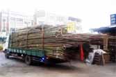 Truck Unloading Bamboo Taiwan Style