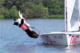 Tuzik The Border Collie Was Born To Sail