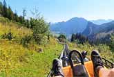 Unleashing the Oberammergau Alpine Coaster - No Brakes - Pure Adrenaline!