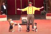 Yakuboskie Circus - Clown With Dogs